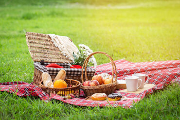 One day picnic in manesar